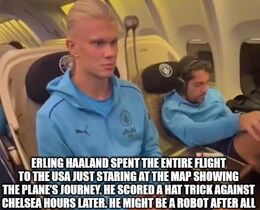 Entire flight memes