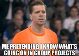 In group projects memes