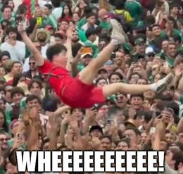 Wheeeeeeeeee memes