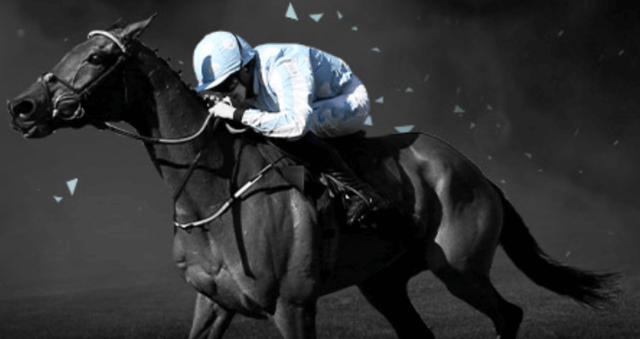 bet365 low risk betting with high stakes 